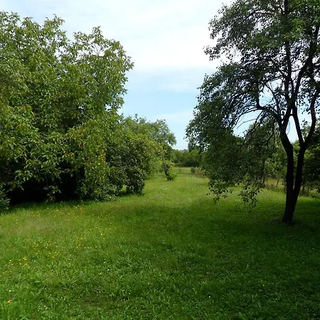 Nyaraló Ikerdió Faházikó Szarvas